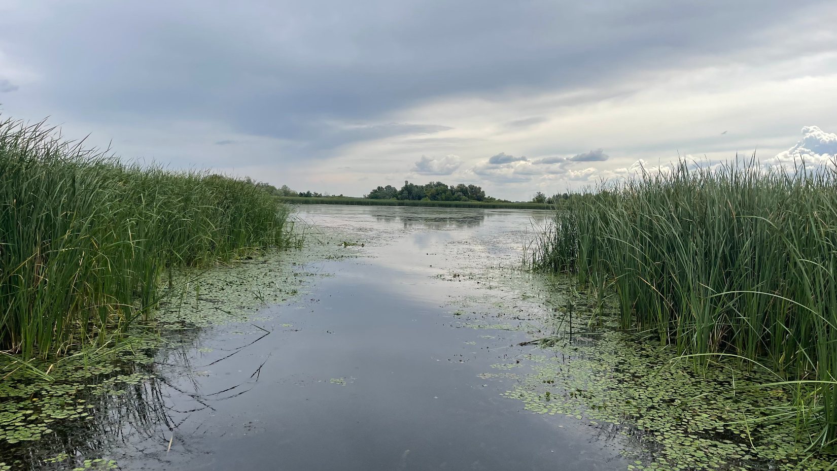 A Tisza-tó első beevezése