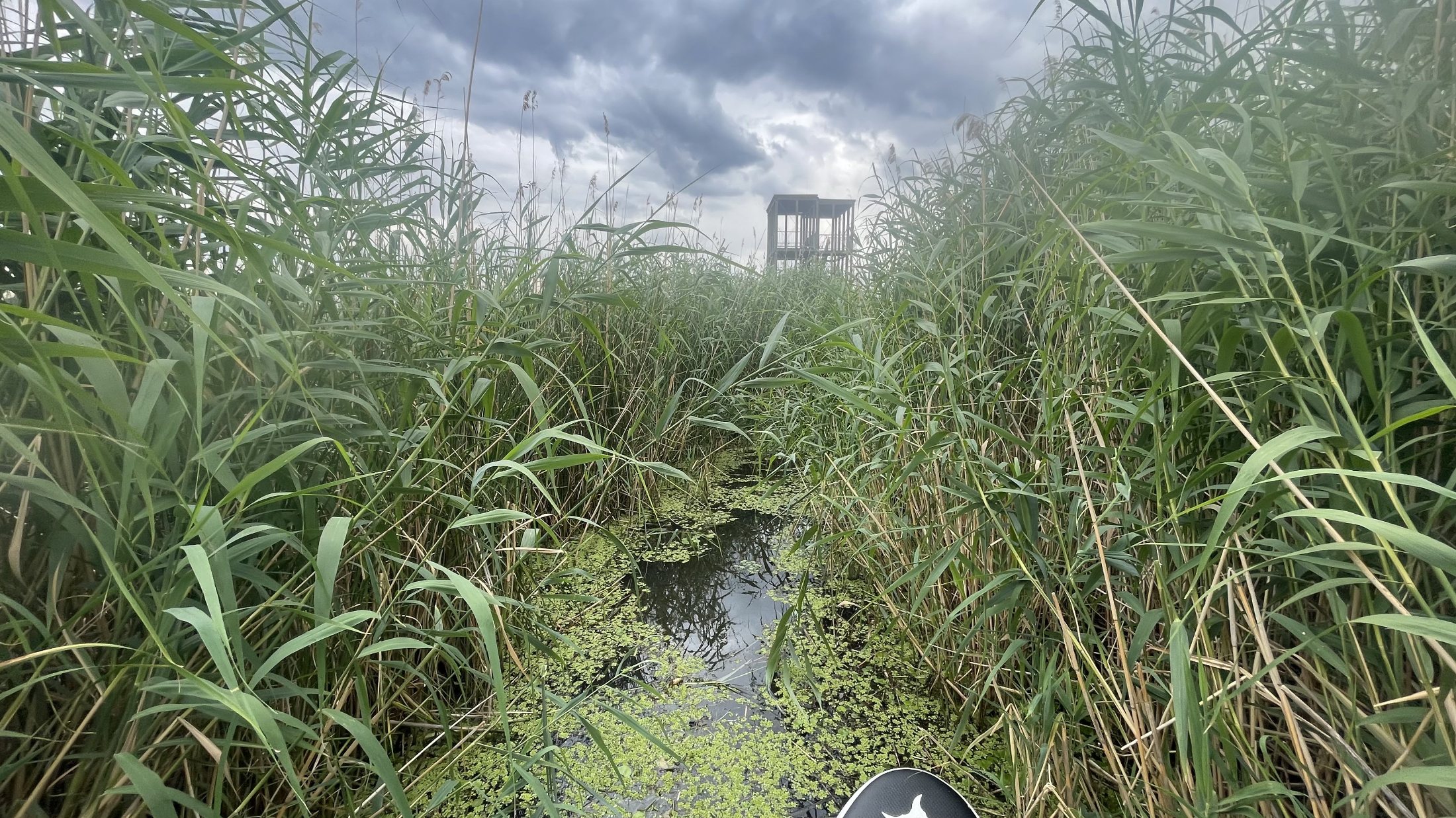 A Tisza-tó első beevezése