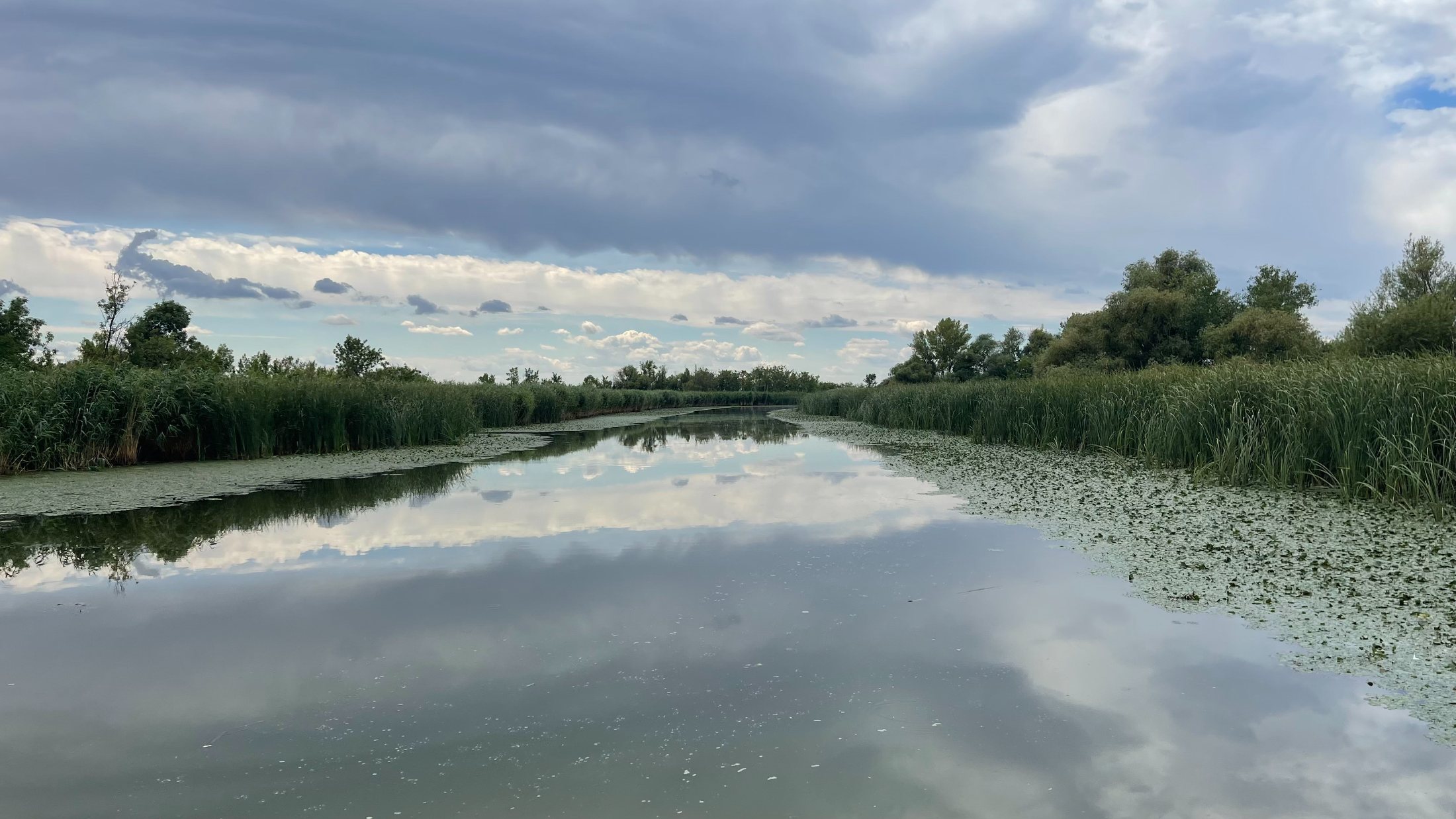 A Tisza-tó első beevezése
