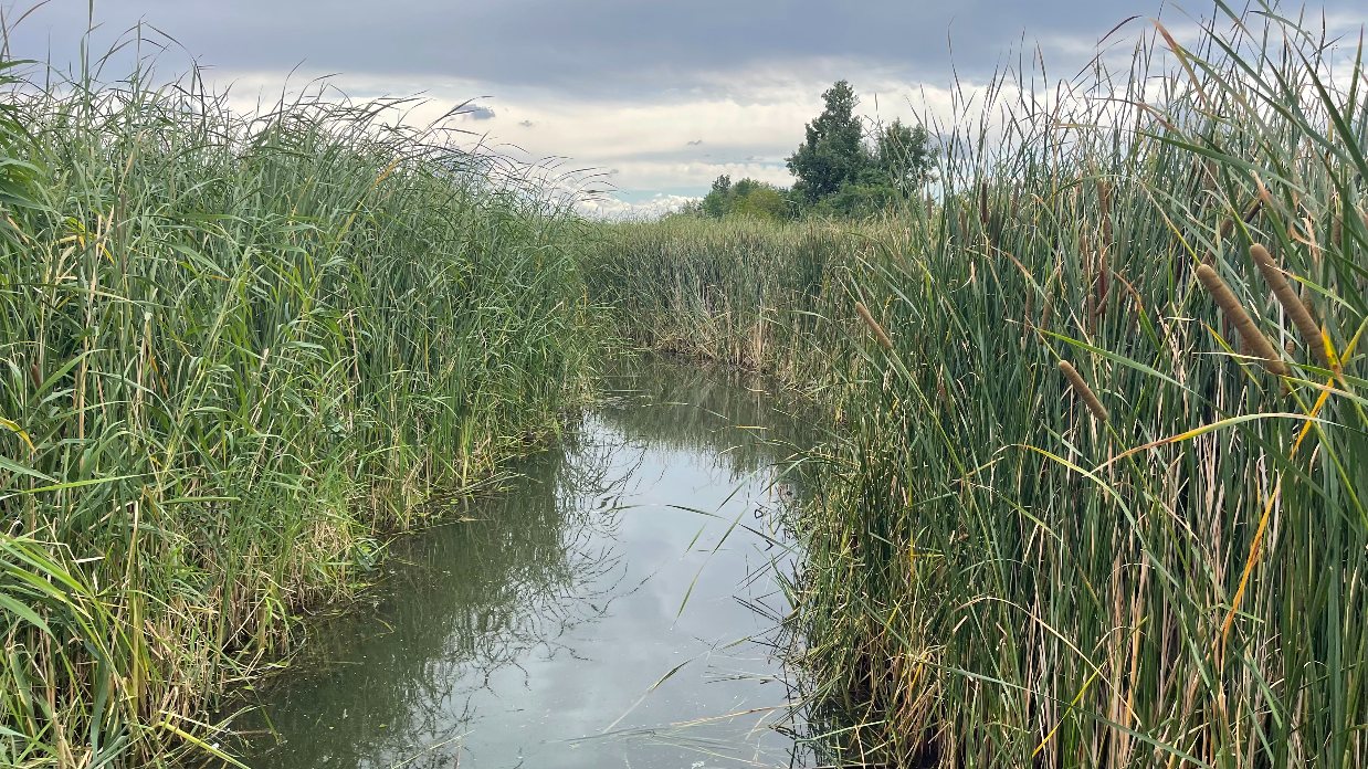 A Tisza-tó első beevezése