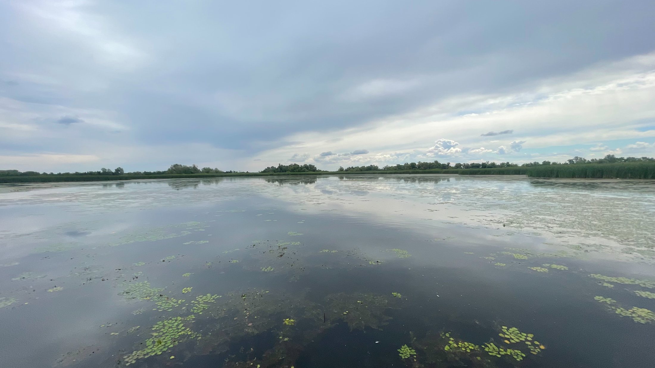 A Tisza-tó első beevezése