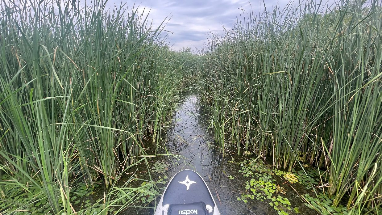 A Tisza-tó első beevezése