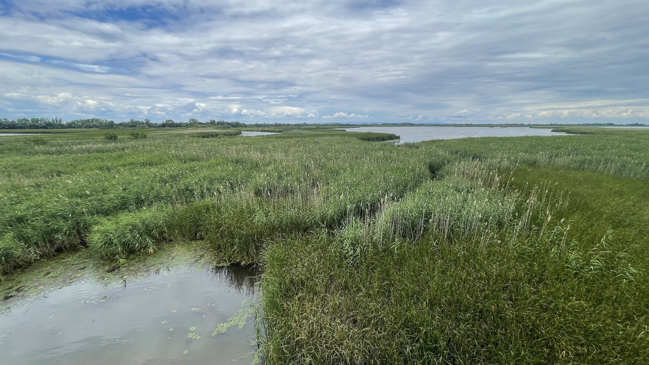 A Tisza-tó első beevezése