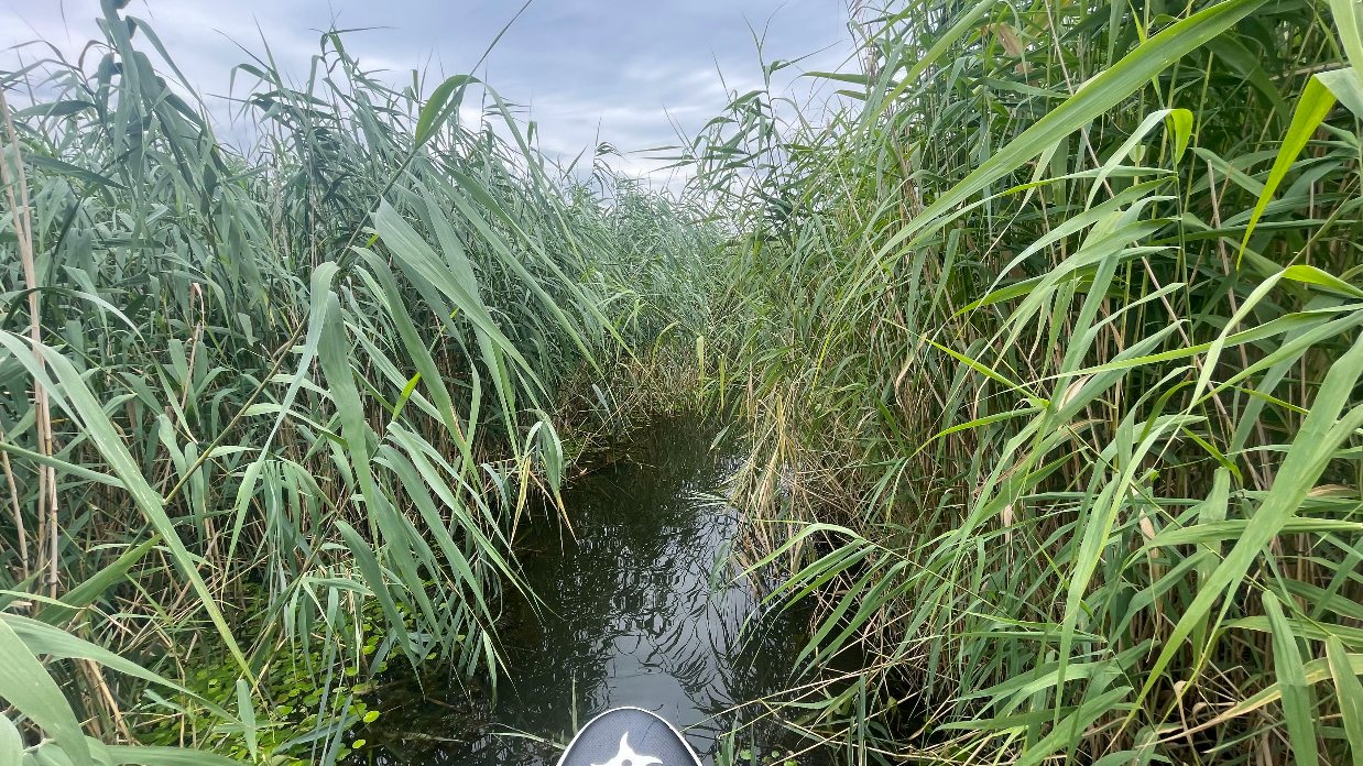 A Tisza-tó első beevezése
