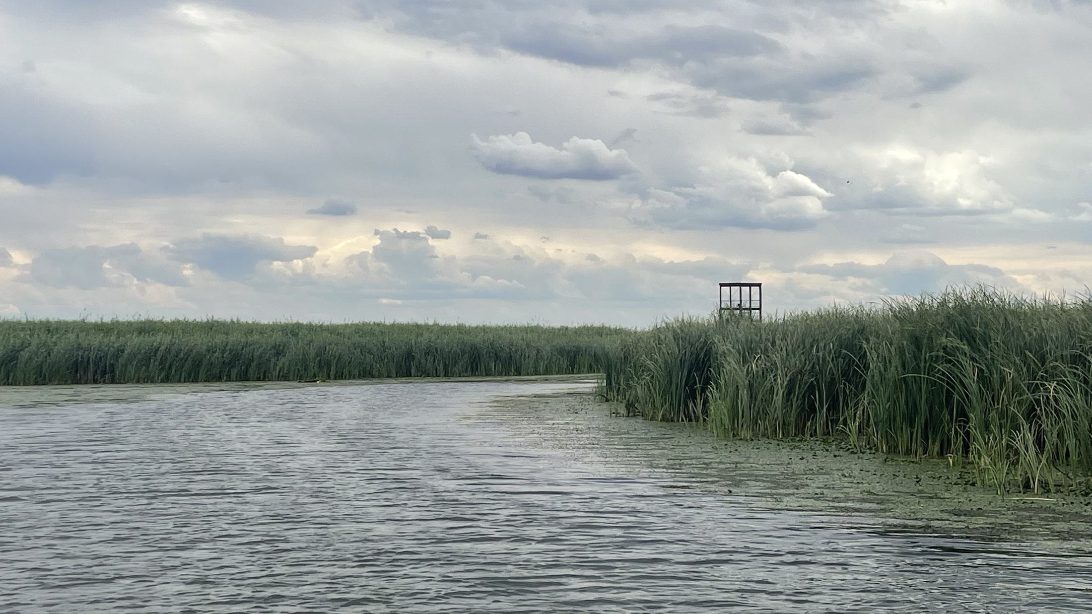 A Tisza-tó első beevezése